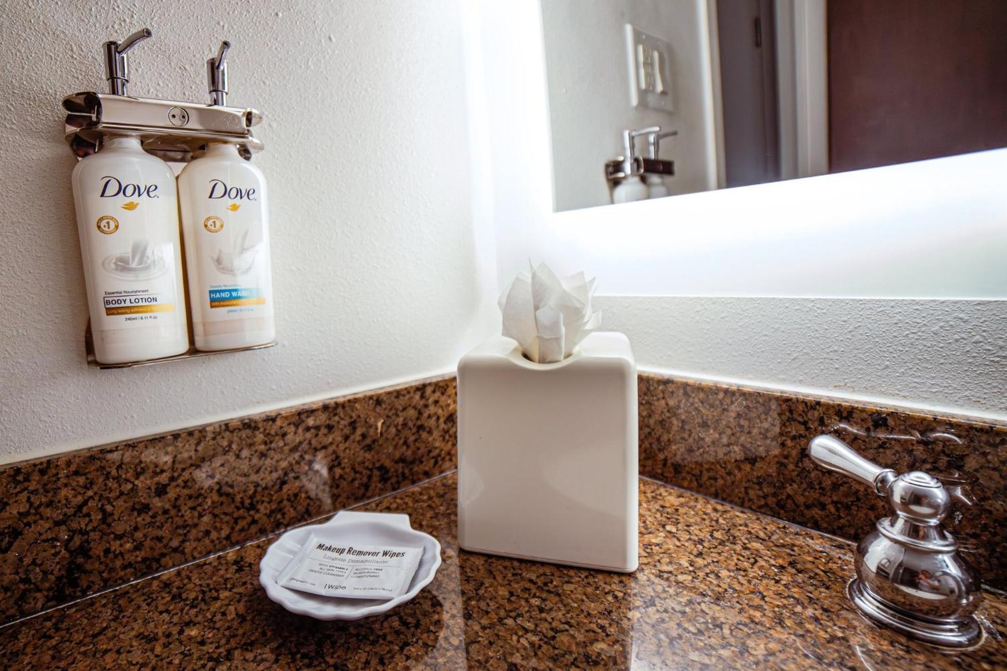 Holiday Inn Irving Las Colinas By Ihg Eksteriør bilde