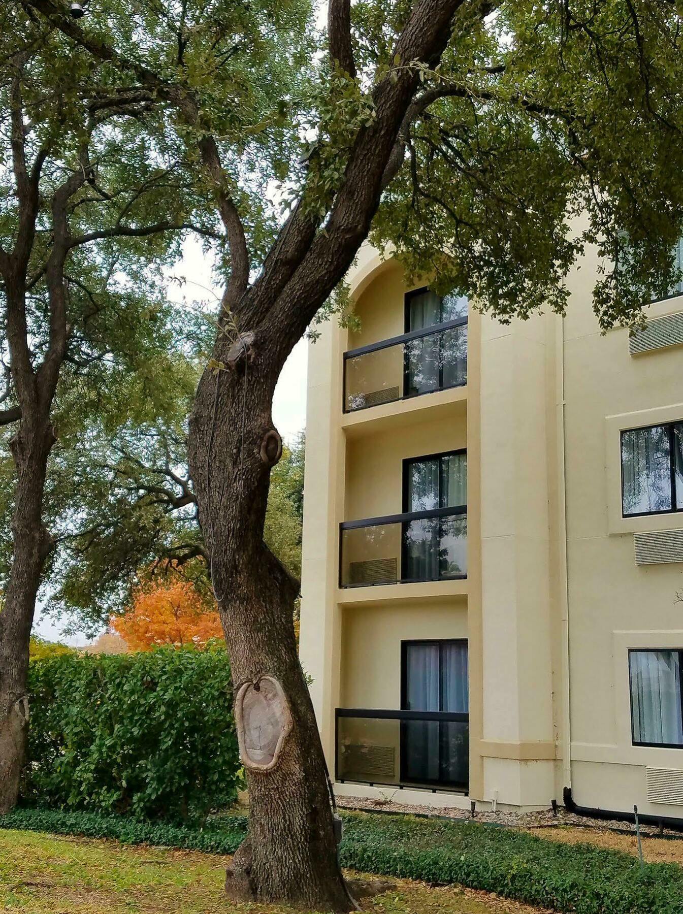 Holiday Inn Irving Las Colinas By Ihg Eksteriør bilde